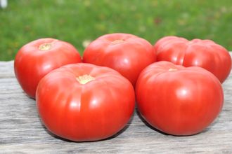 Pomodoro di Tramonte