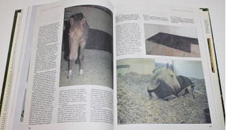 Лошади и уход за ними. Энциклопедическое издание о лошадях и пони с кратким руководством по их содержанию. Минск: Белфакс. 2001 г.