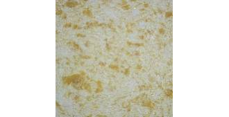 Жидкие обои Silk Plaster Эколайн (Ecoline) 762