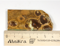 Риолит, яшма, срез полированный, Россия (61*34*5 мм, 25 г) №29776