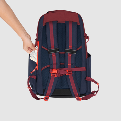 Рюкзак Ogio Alpha + 25L Vardian Glow