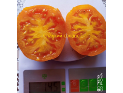 Томат Сладкий Солано (AAA Sweet Solano)