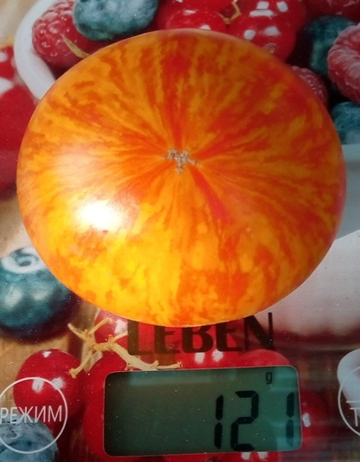 Томат Королева красоты (Beauty Queen)