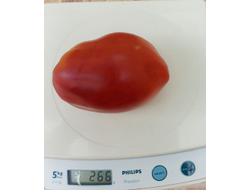 Томат Новозеландский розовый (New Zealand Pink Paste)