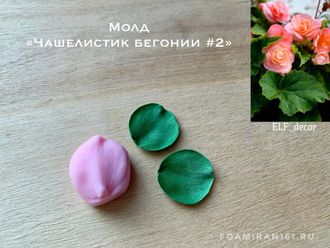 Молд «Чашелистик бегонии #2» (ELF_decor)