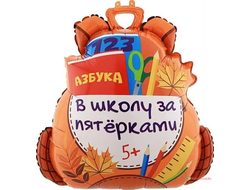 Школьный рюкзак "В школу за пятёрками" (размер шара 71 см)