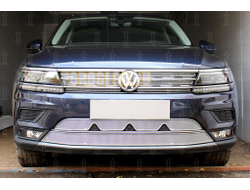 Защита радиатора Volkswagen Tiguan II 2016- chrome низ с камерой PREMIUM
