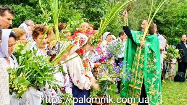 Зелена Неділя фото