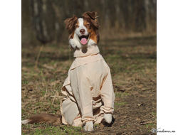 Комбинезон для собак с ловушками от клещей OSSO Fashion размер 30 (кобель)