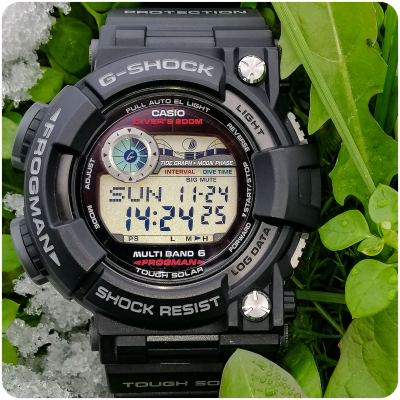 Часы Casio G-Shock GWF-1000-1