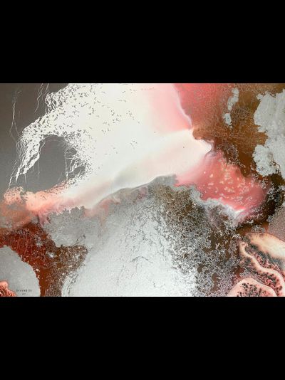 Купить обогреватель-картину Пустынная роза-4