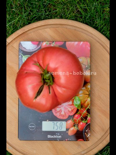 Томат Минусинский Крупный, 10 шт