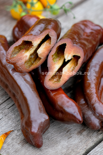 Перец сладкий Палермо Шоколадный, 10 шт