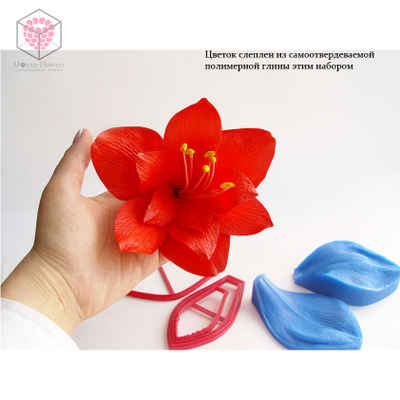 Набор вайнер и каттеры "Лепесток амариллиса"