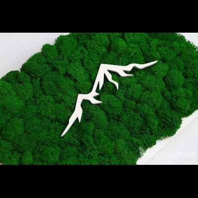 ЖИВАЯ ЭКО-КАРТИНА 1037