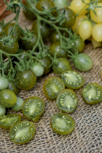 Томат Sister keyes (Систер Киз), 10 шт