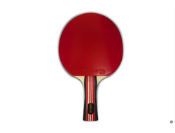 Ракетка для настольного тенниса Gambler 2 STAR (коническая) купить в Воронеже