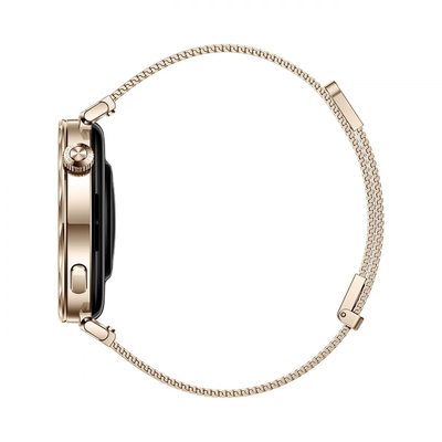 Huawei Watch GT 5 41mm (55020DGX) Золотой