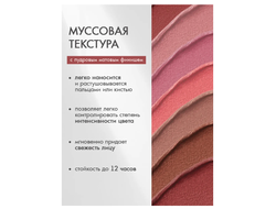 LuxVisage PLUSH MATT ТИНТ-МУСС для губ, щёк и век  3,6г