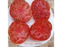 Томат Гном Приз Ханны ( Dwarf Hannah’s Prize, США, Австралия)