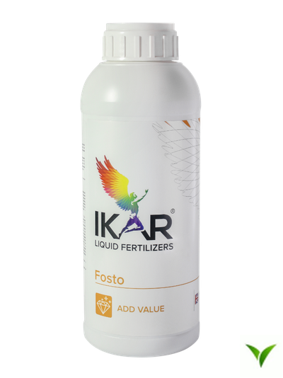 Икар Фосто Revolt