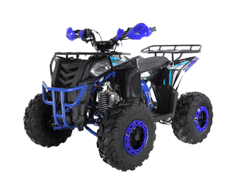 Квадроцикл WELS ATV Thunder EVO 125 низкая цена