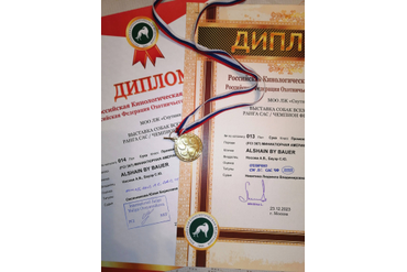 Награды Чемпиона России