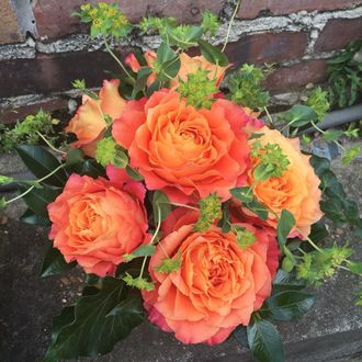 Фри спирит, Ч/Г, срезочная. Tantau