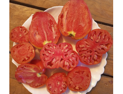 Томат Ребристый Эуганских Холмов (Costoluto Colli Euganei), Италия