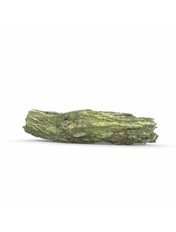 пни Бревно 0415