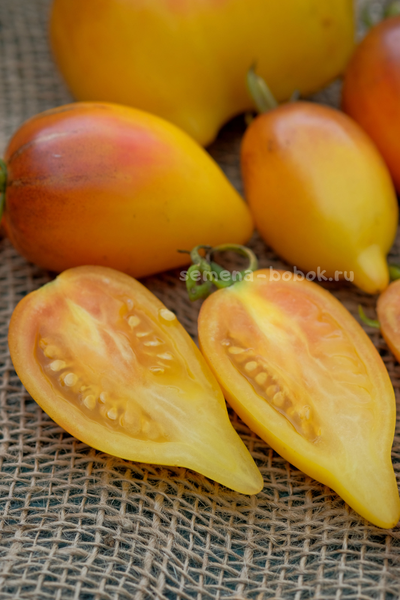 Томат Персик Каплевидный, 10 шт
