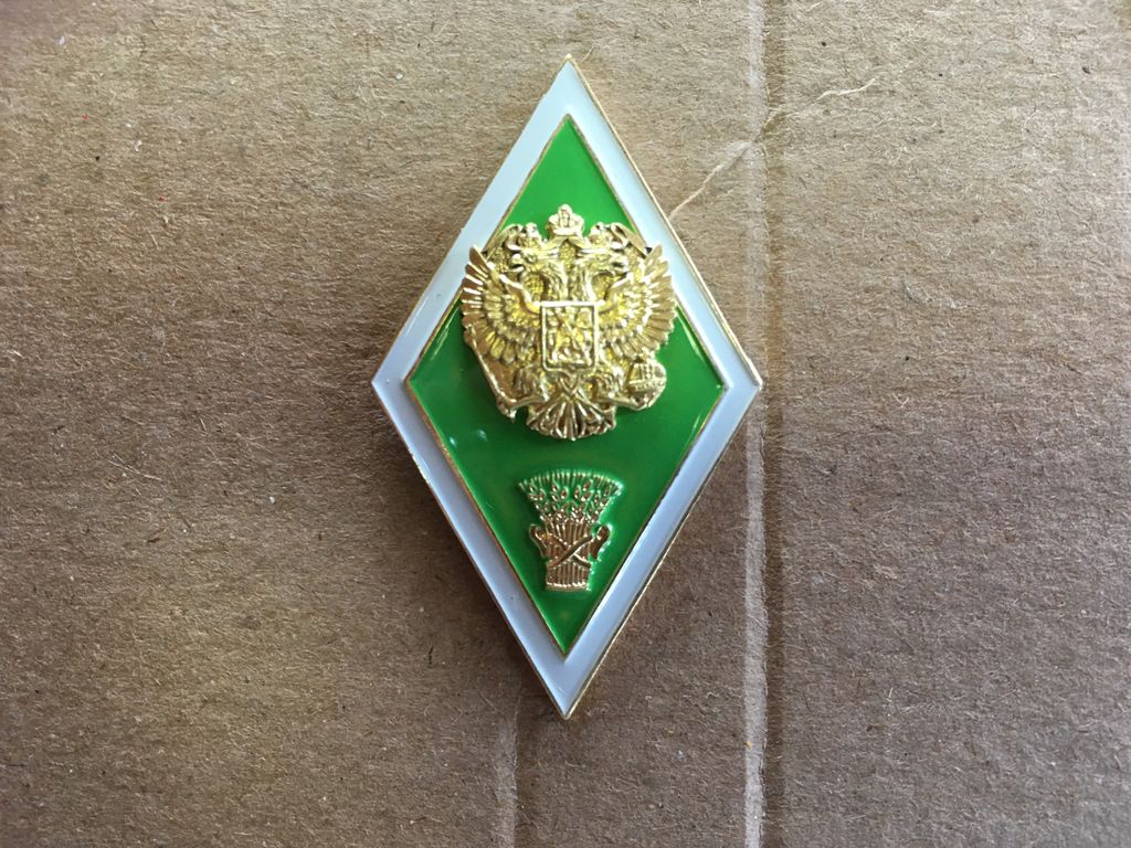 Значок О Высшем Образовании Рб Купить