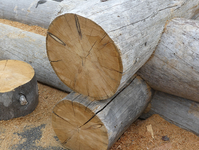 Бревно Кело диаметр 34 см, длина 6 м
