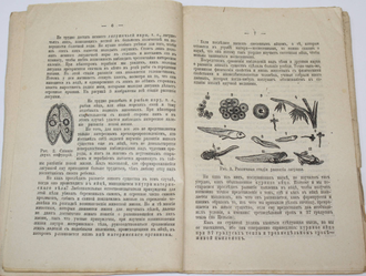 Общественная библиотека `Родины`. Книга 1-12 за 1906 г. СПб.: Кн-во Каспари, 1906.
