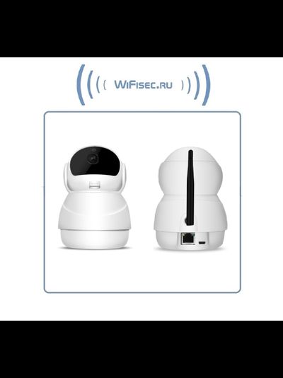 Моторизированная WiFi/LAN видеокамера с DVR, Full HD 2 Мп  (360EyeS)