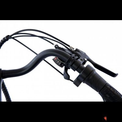 Электровелосипед Elbike Galant Big Черный