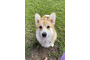 15.png