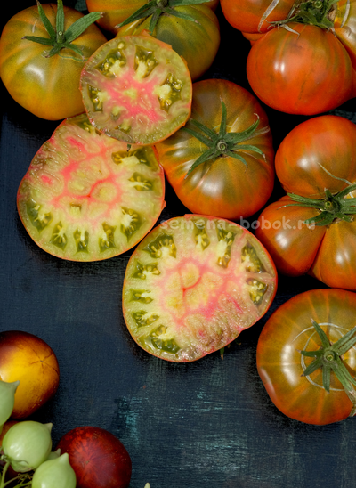 Томат Ierūsējusi dvēsele (Заржавевшая душа), 10 шт