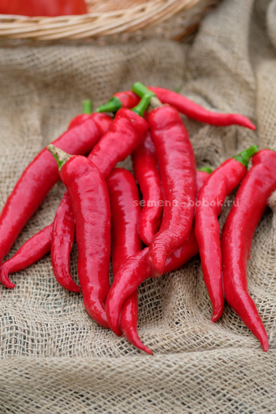 Перец сладкий ДЖИММИ НАРДЕЛЛО, 10 шт