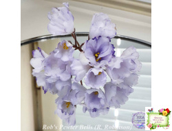Rob's Pewter Bells (R. Robinson)