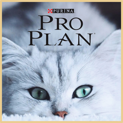 ProPlan (ПроПлан) ветеринарные влажные корма для кошек