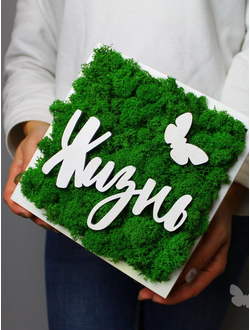 ЖИВАЯ ЭКО-КАРТИНА 1088