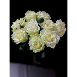 Роза Россия 50 см. 9 шт