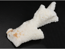 Коралл белый, коллекционный образец, Китай (89*37*25 мм, 40 г) №37700