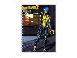 Тетрадь Borderlands, Бордерленд №1