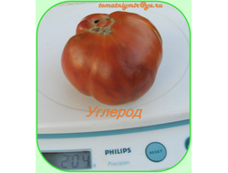 Томат Углерод (Carbon)