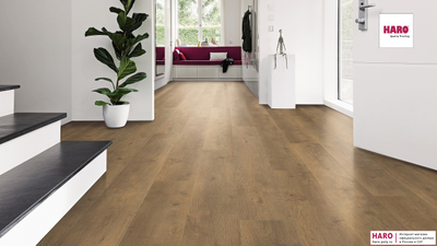 Ламинат Haro Tritty 100 Campus Дуб Бергамо Натур 538747 фото в интерьере