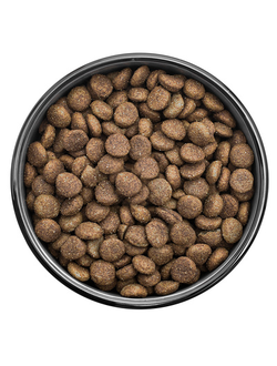 Florida сухой корм для взрослых собак крупных пород с курицей и яблоком 12+2 кг