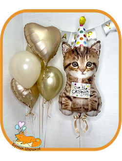 Набор «Мой котенок»