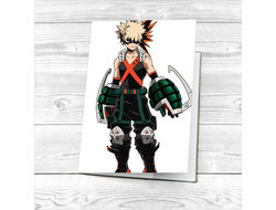 Обложка Моя геройская академия на паспорт №14